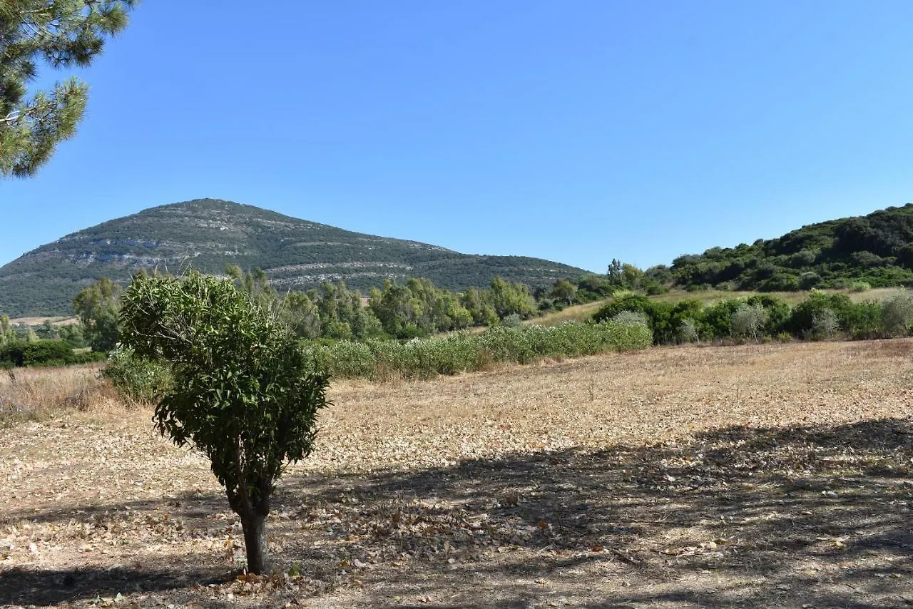 Apartmán Guardia Grande 26 Alghero